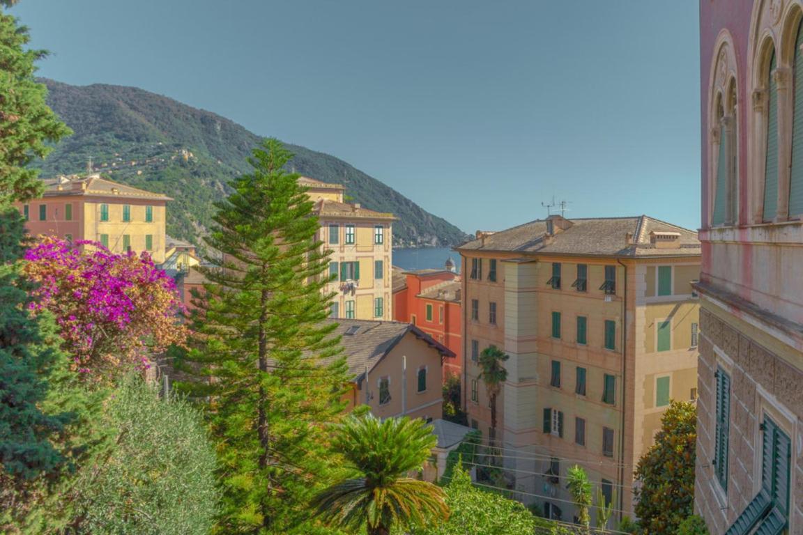 Casa Carlotta Tranquillita Con Vista Mare Apartment คาโมยลี ภายนอก รูปภาพ