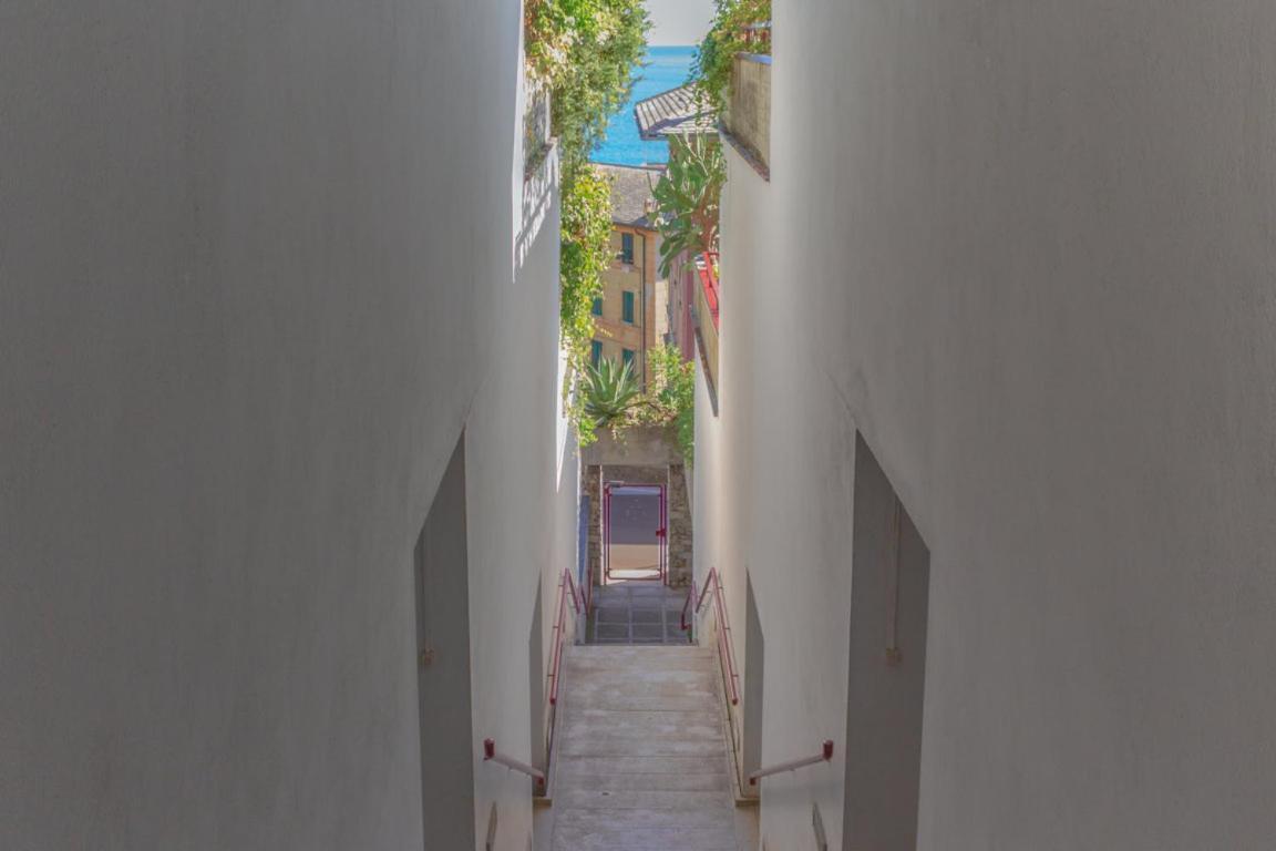 Casa Carlotta Tranquillita Con Vista Mare Apartment คาโมยลี ภายนอก รูปภาพ