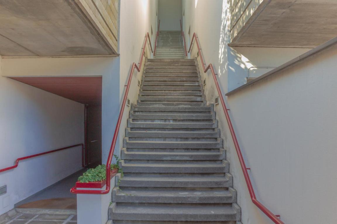 Casa Carlotta Tranquillita Con Vista Mare Apartment คาโมยลี ภายนอก รูปภาพ